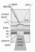 Schematic of one element of a target array for shock compression of SAMs